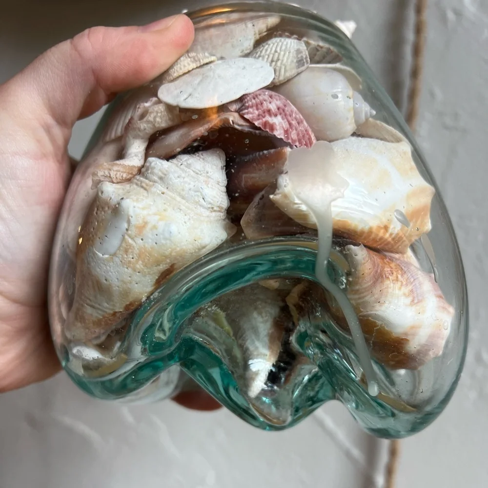 Molten Glass on Driftwood Sculpture – Coastal Vase or Shell Display, Ocean Decor